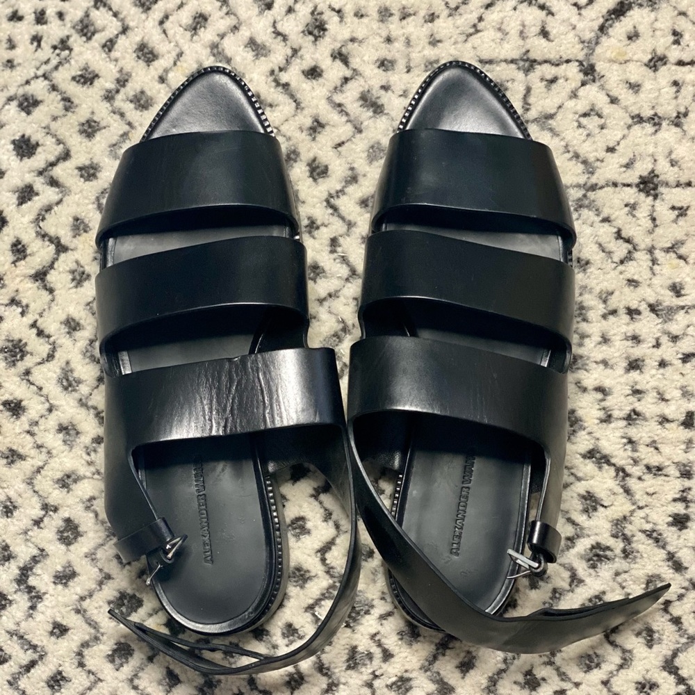 Alexander Wang Platform Pointed Toe Shoes Sz 38 - image 1